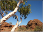 foto Parco nazionale Uluru-Kata, Tjuta